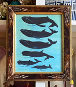 'Five Whales and a Porpoise’