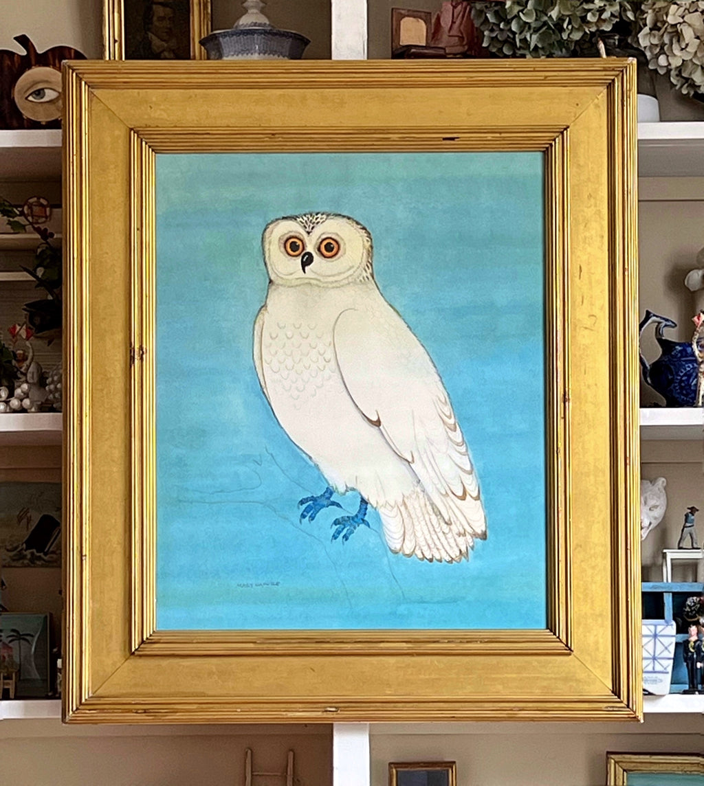 'Snowy Owl'