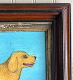 'Golden Retriever'