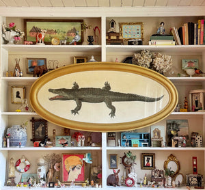 ‘Gator' in antique oval frame