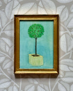 'Topiary' -per piece