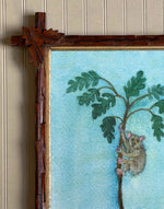 'Koala Up a Tree'