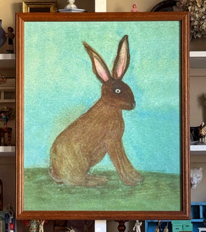 'European Hare'