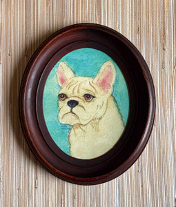 'French Bulldog'