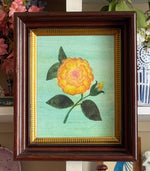 'Yellow Eden Rose'