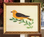 'American Goldfinch'