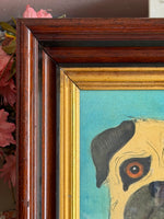 'A Pug named Ed'