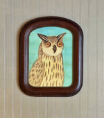 'Portrait of a Horned Owl'