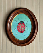 ‘Ladybug'