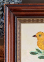 'American Goldfinch’