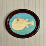 'Blush Blow Fish'