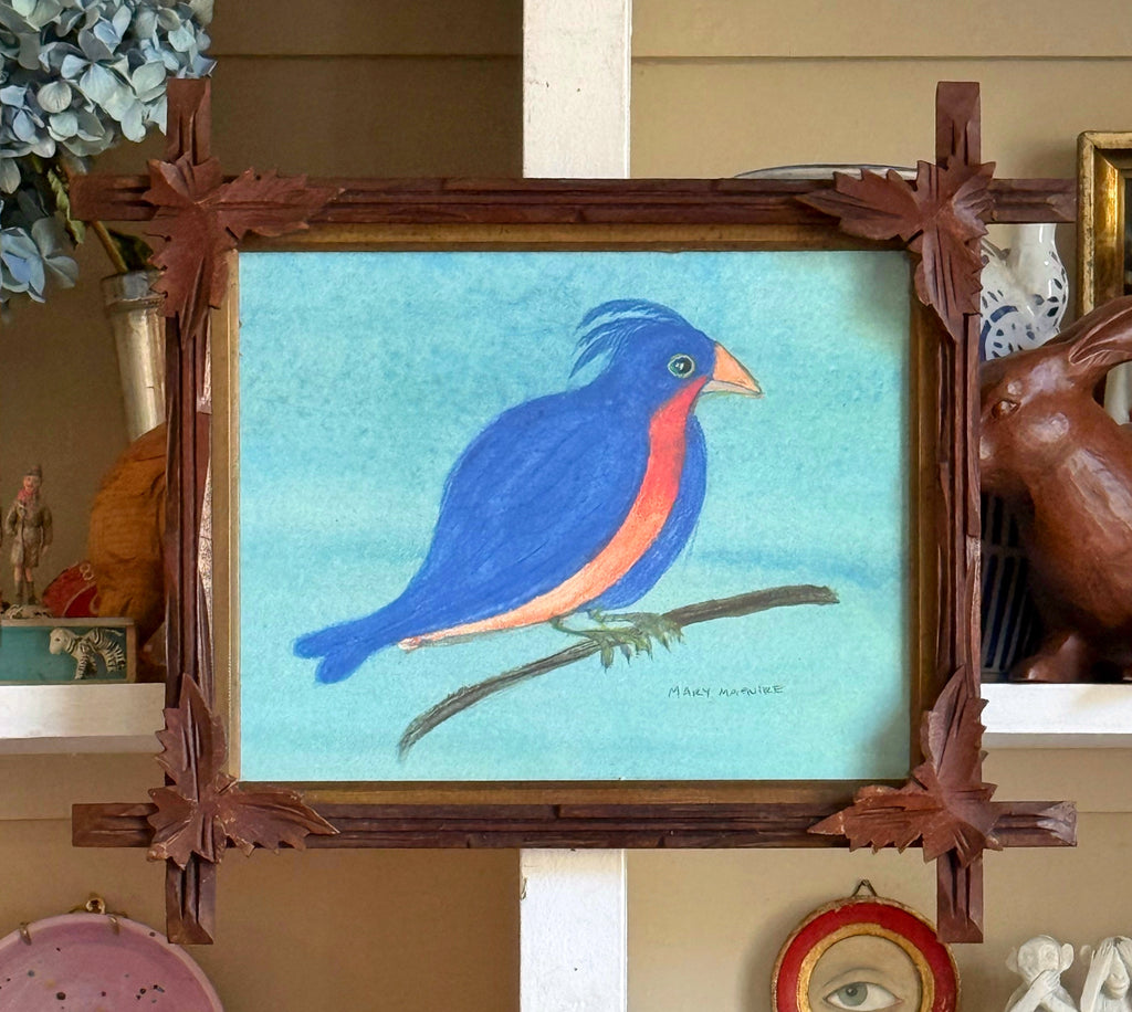 'Capri Blue Songbird'