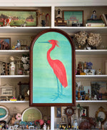 'Scarlet Egret'