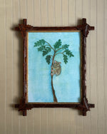 'Koala Up a Tree'