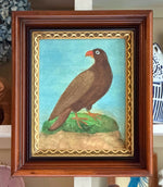 'Golden Eagle'