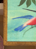 'Hummingbirds and Passionflower'