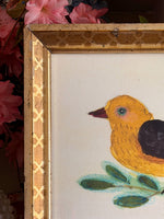 'American Goldfinch'