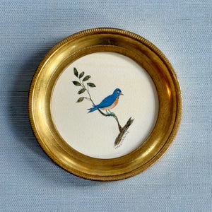 'Bluebird on a Branch'