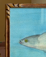 'Flying Fish' -miniature