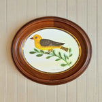 'American Goldfinch’