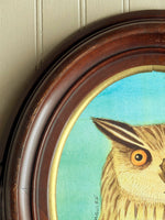 'Portrait of a Horned Owl'