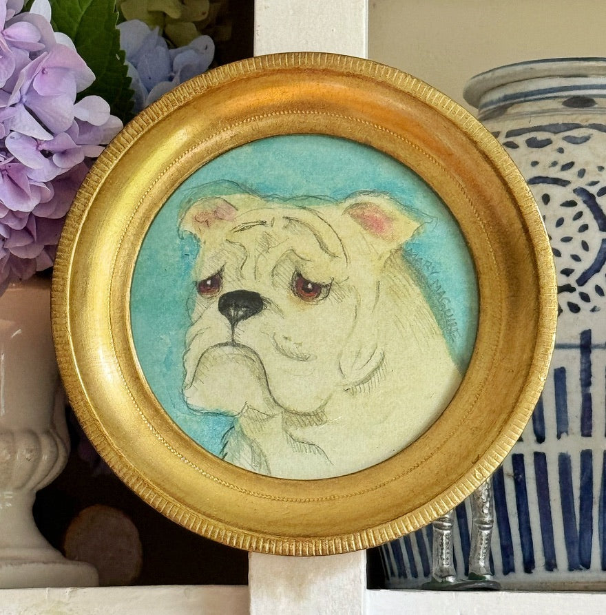 'English Bulldog'