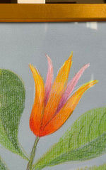 'Bearberry & Winter's Bark' -per piece