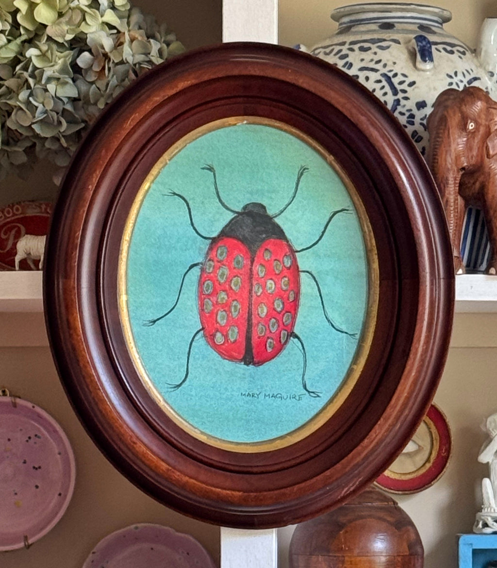 ‘Ladybug'