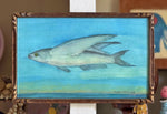 'Flying Fish' -miniature