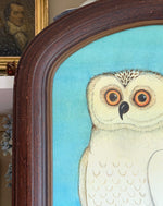 'Snow Owl'