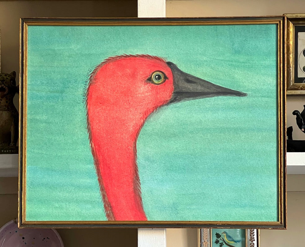 'Bird Portraits' -per piece