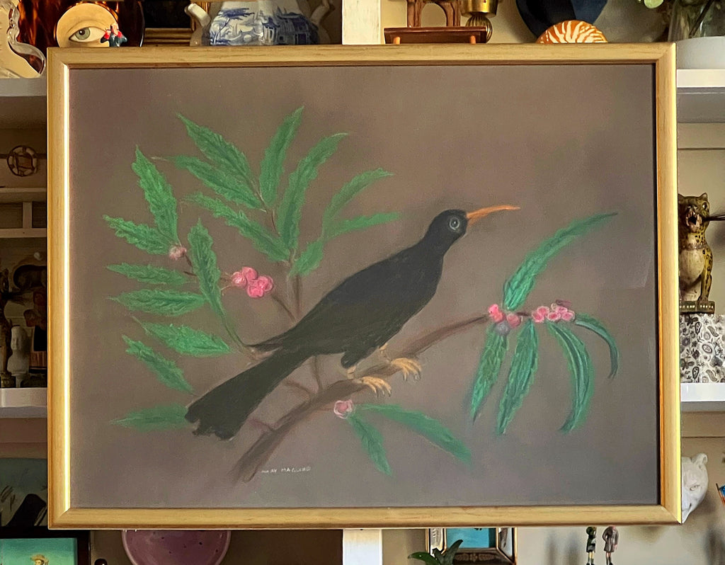 'Perching Blackbird'- original pastel drawing