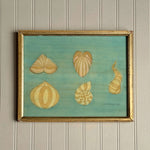 ‘Striped Seashells' -Original Watercolor Painting