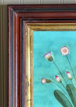 'Strawflowers'