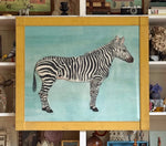 'Cheetah' and 'Zebra' -per piece