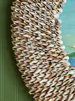 The 'Comet’ -in Seashell Frame