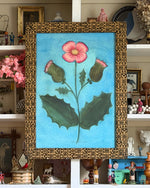 'Holly Geranium'