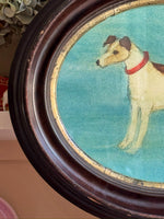 'Jack Russell Terrier’