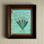 'Strawflowers'