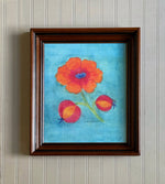‘Tangerine Poppy'