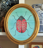 ‘Spotted Ladybug'