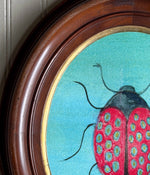 ‘Ladybug'