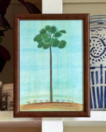 'Stately Palm' -miniature