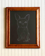 'A French Bulldog Named Peanut' -Original White Pencil Drawing