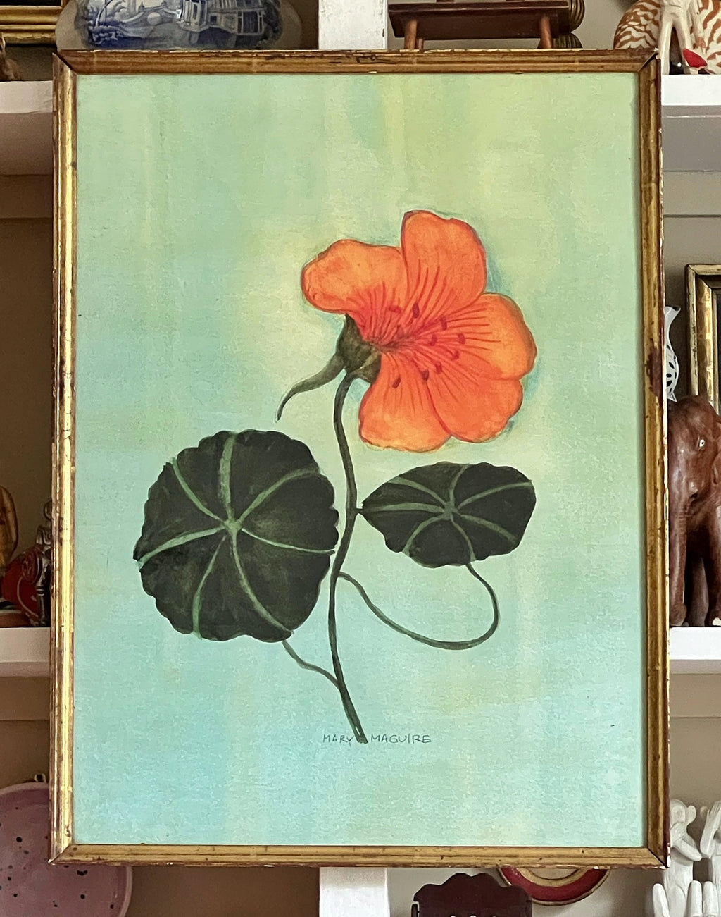 'Nasturtium'