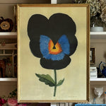 'Black and Blue Winter Pansy'