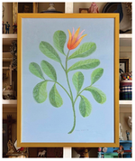 'Bearberry & Winter's Bark' -per piece