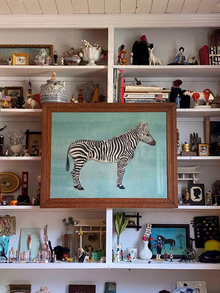 'Zebra'