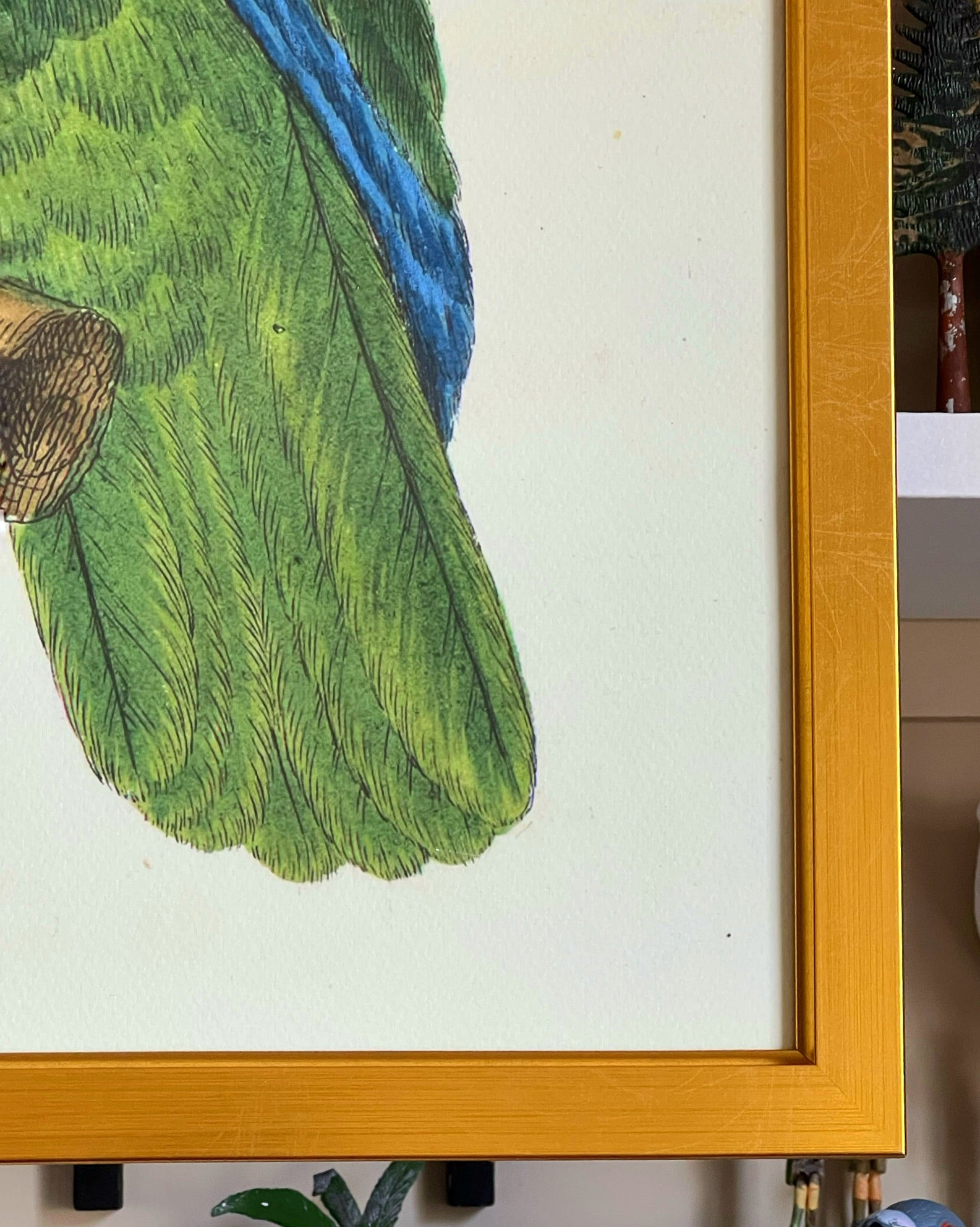 'Green Parrots’ -per piece