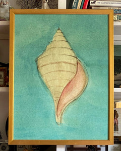 'Sea Shells' -per piece